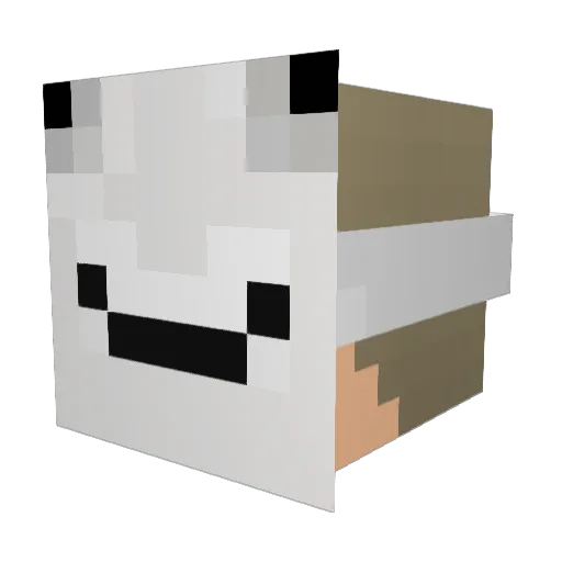 UnlegitAmar Minecraft avatar head, 3D render