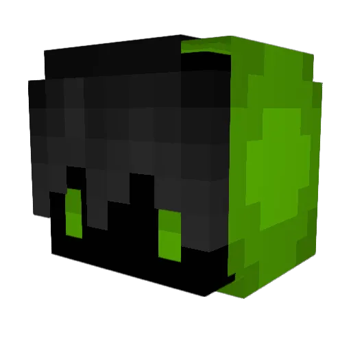 UnlegitWaschbaer Minecraft avatar head, 3D render