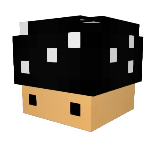 UnleqitQuerly Minecraft avatar head, 3D render