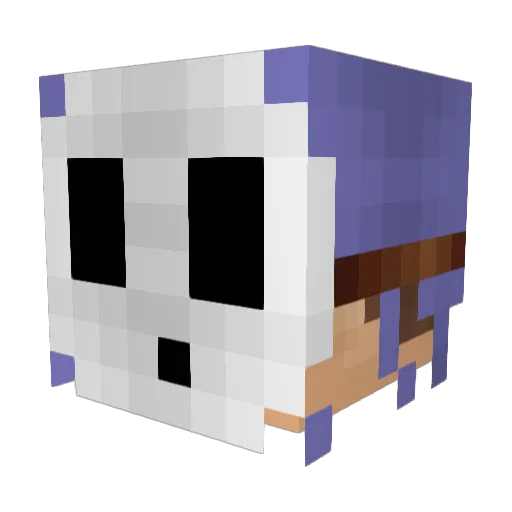 UnlgtFlx Minecraft avatar head, 3D render