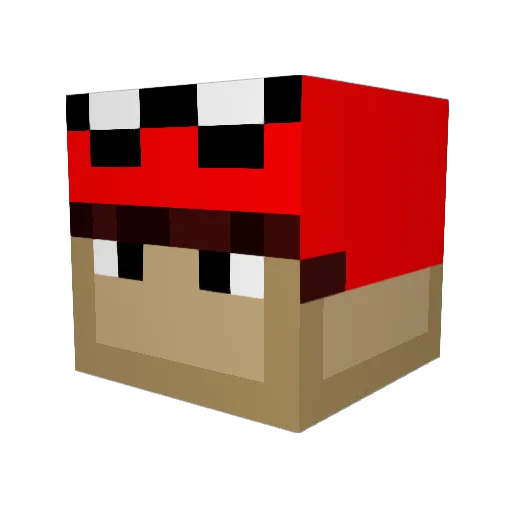 Unli_UNG Minecraft avatar head, 3D render