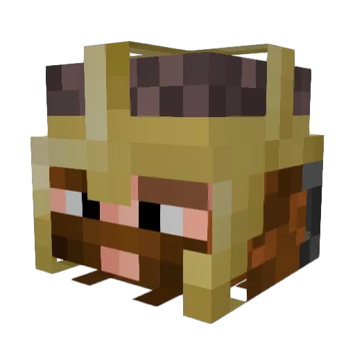 UnluckyClover67 Minecraft avatar head, 3D render