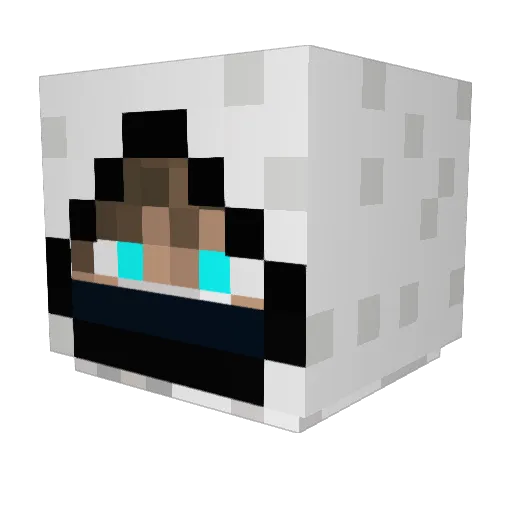 Unlucky_DaKiwi Minecraft avatar head, 3D render