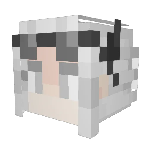 Unmei501 Minecraft avatar head, 3D render