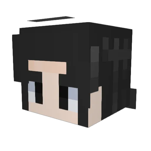 UnnamedReisS Minecraft avatar head, 3D render