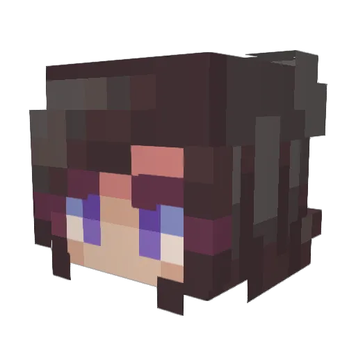 UnnaturalShadows Minecraft avatar head, 3D render