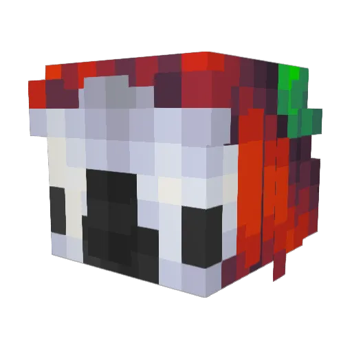Unoccupied_Toast Minecraft avatar head, 3D render