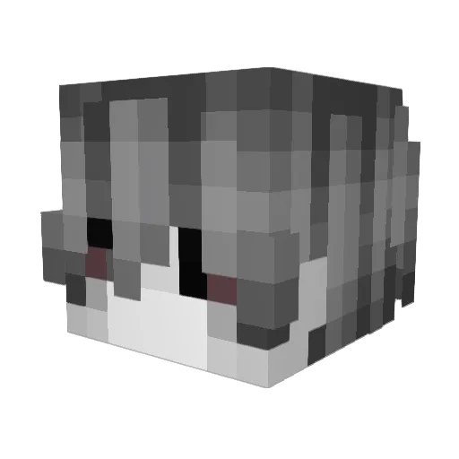 Unoffical2time00 Minecraft avatar head, 3D render