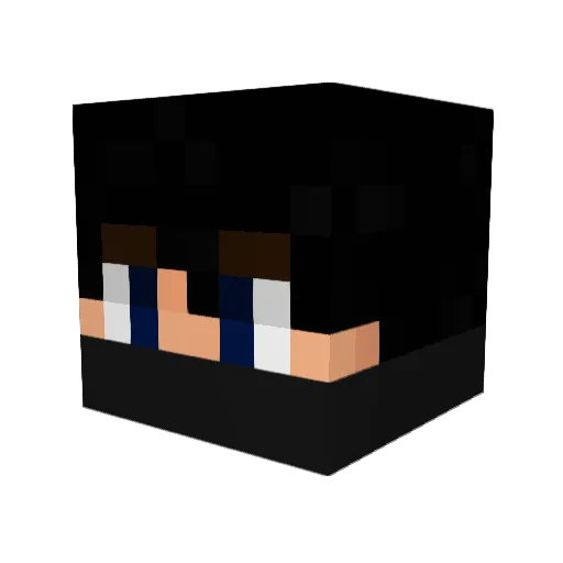 Unprofesssional Minecraft avatar head, 3D render
