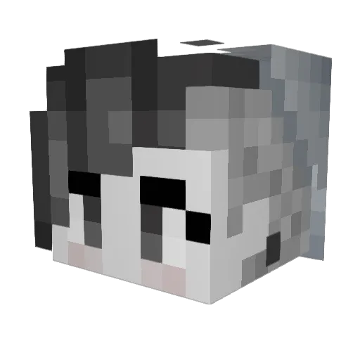 Unravled_Thinker Minecraft avatar head, 3D render