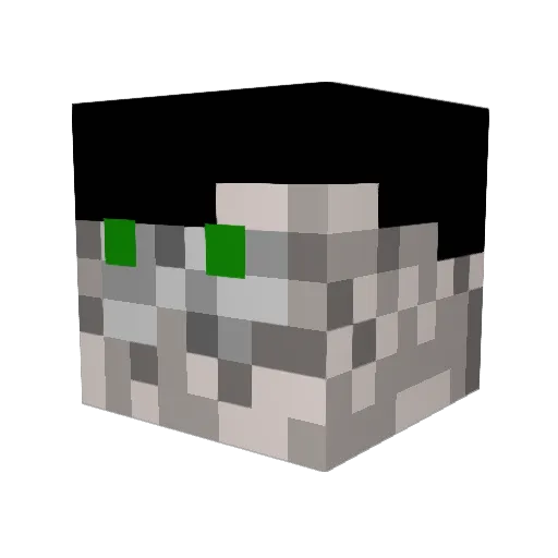 UnsafeMosquito Minecraft avatar head, 3D render