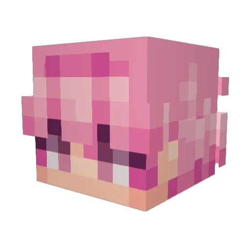UnsealedEmu Minecraft avatar head, 3D render