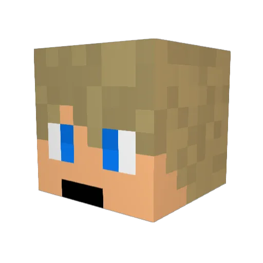 Unseeingwalnut Minecraft avatar head, 3D render
