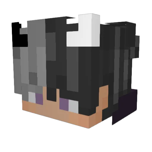 UnseenLucas Minecraft avatar head, 3D render