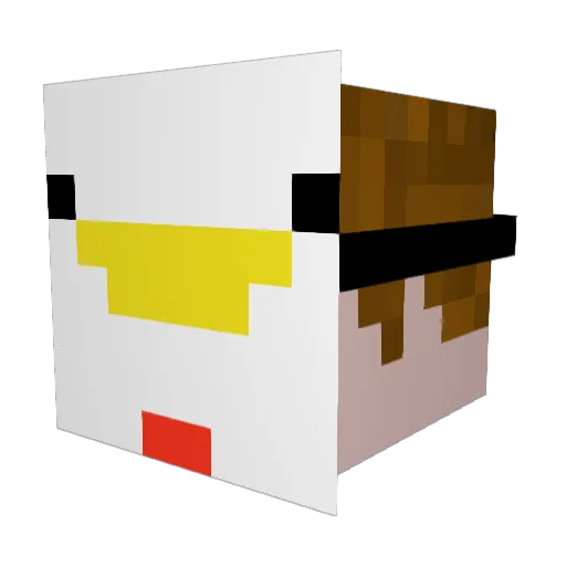 Unsimplepoulet Minecraft avatar head, 3D render