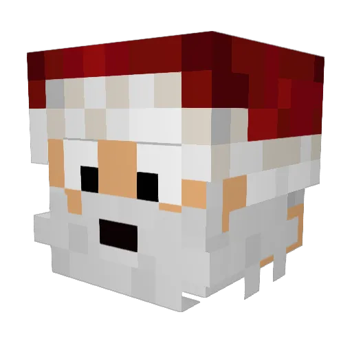 UnsungBison6862 Minecraft avatar head, 3D render