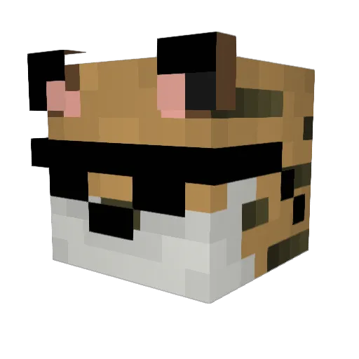 Untamed_Tig3r Minecraft avatar head, 3D render