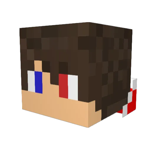 Unturnad Minecraft avatar head, 3D render