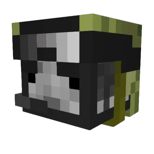 UnusedTree30 Minecraft avatar head, 3D render
