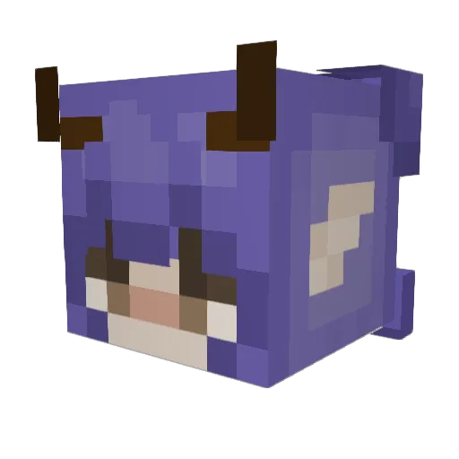 UnusualLiz Minecraft avatar head, 3D render