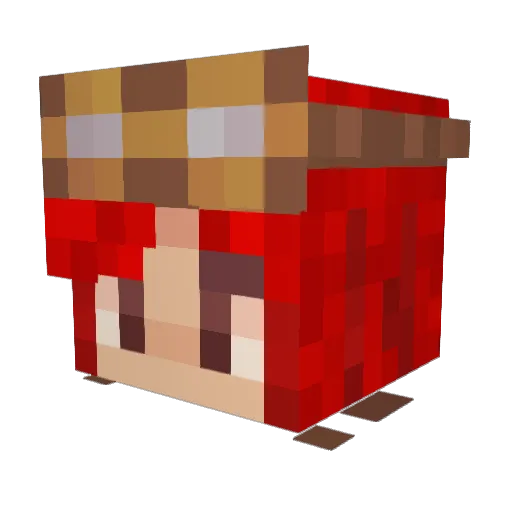 UnusuallyLexie Minecraft avatar head, 3D render