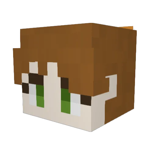 UnvalidatedTater Minecraft avatar head, 3D render