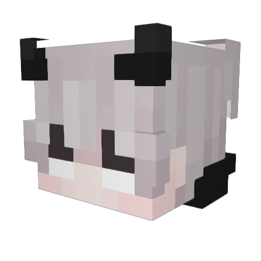 Unverletzbar Minecraft avatar head, 3D render