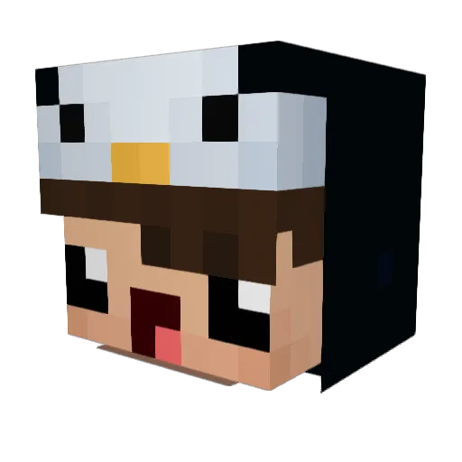 UnwichtigerLeon Minecraft avatar head, 3D render