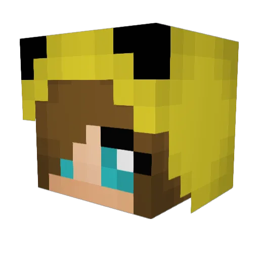 Unwilling13 Minecraft avatar head, 3D render