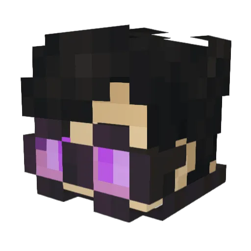 Unwise_0wl Minecraft avatar head, 3D render