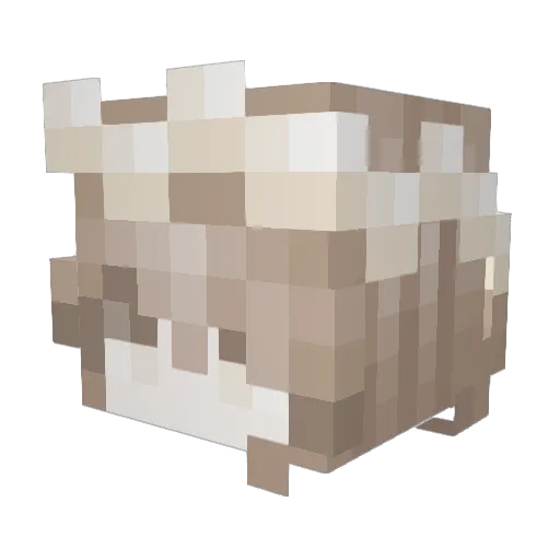 Unzie_ Minecraft avatar head, 3D render