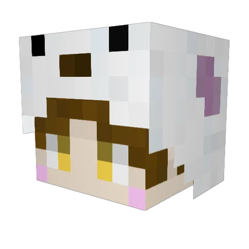 UowoU_ Minecraft avatar head, 3D render