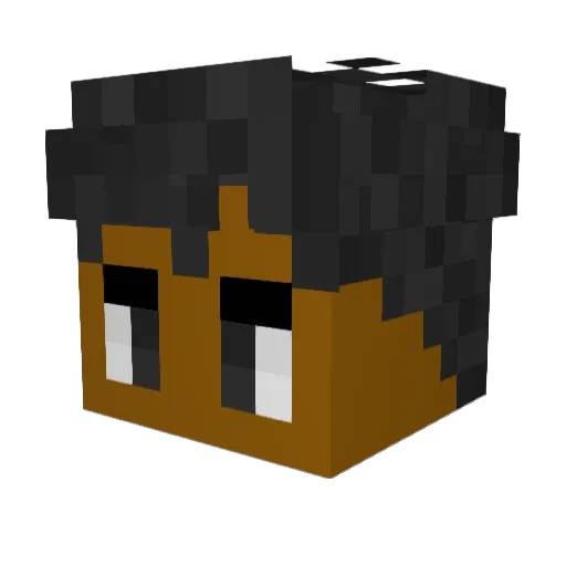 UpSideDownPanda Minecraft avatar head, 3D render