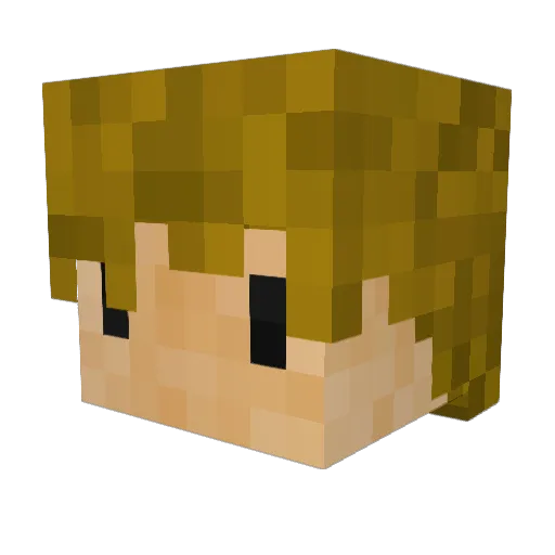 UpmostDig551183 Minecraft avatar head, 3D render