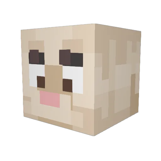 Upolnomoch_Kifir Minecraft avatar head, 3D render