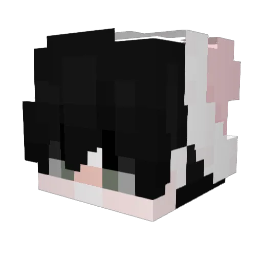 UptightHat69 Minecraft avatar head, 3D render