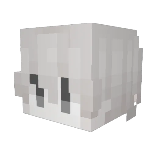 Upupok Minecraft avatar head, 3D render
