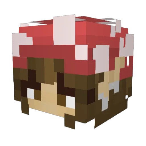 UpyourallycatTTV Minecraft avatar head, 3D render