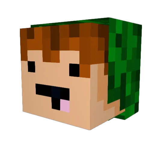 UrCatKiwamiiLOL Minecraft avatar head, 3D render