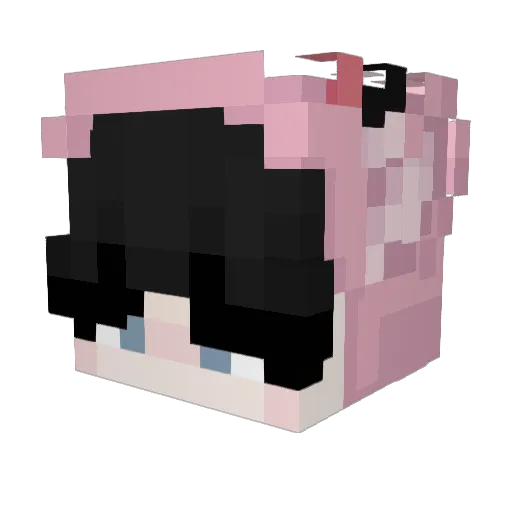 UrDailyDoseOfOB Minecraft avatar head, 3D render