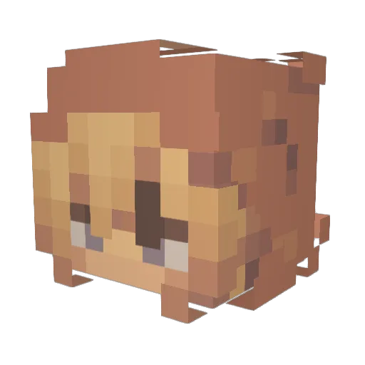 UrDarntootin Minecraft avatar head, 3D render