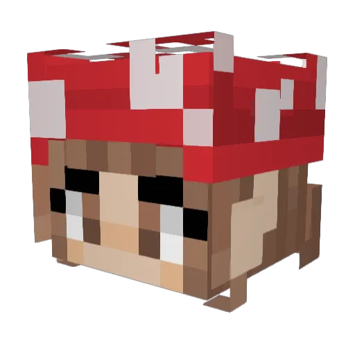 UrFavChild Minecraft avatar head, 3D render