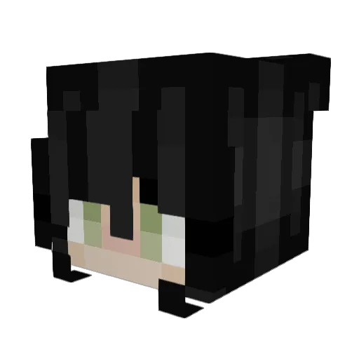 UrFavNerd Minecraft avatar head, 3D render