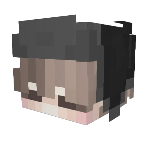 UrLocalGrinder11 Minecraft avatar head, 3D render