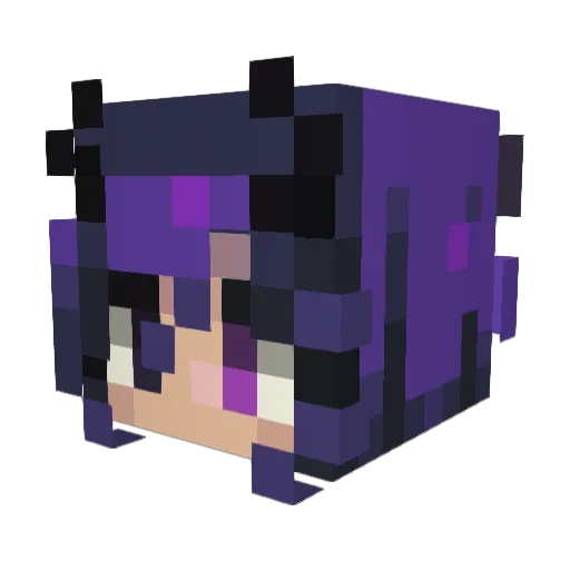 UrLocalPunk_19 Minecraft avatar head, 3D render