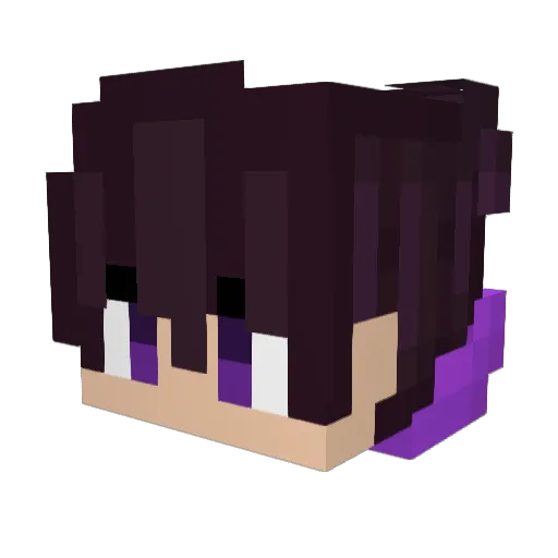 UrMomAHoe69 Minecraft avatar head, 3D render