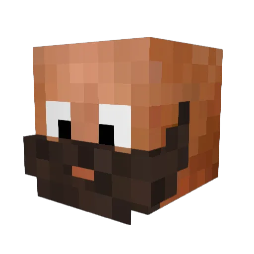 UrMomLovesmyRod Minecraft avatar head, 3D render
