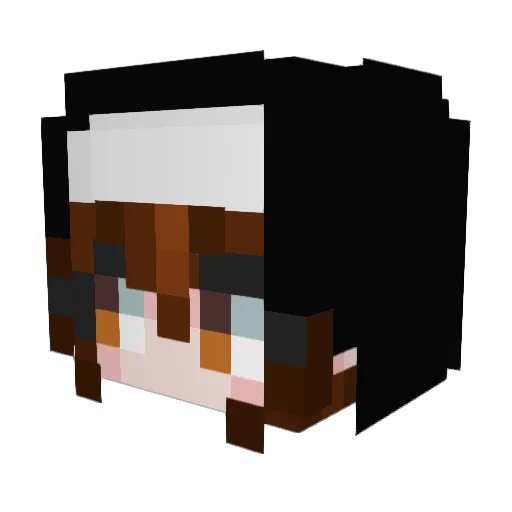 UrMomOnMinecraft Minecraft avatar head, 3D render