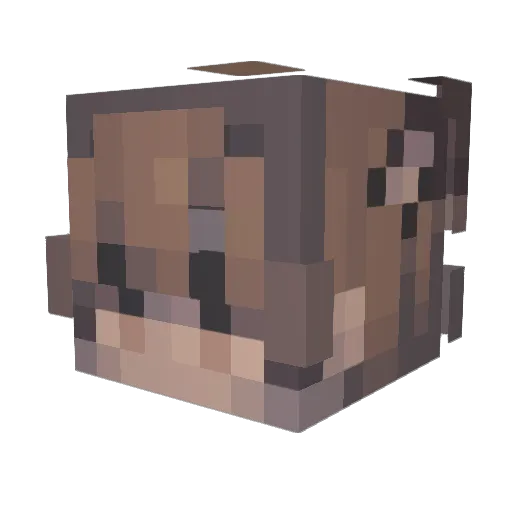 Ur_Fav_Wizard Minecraft avatar head, 3D render