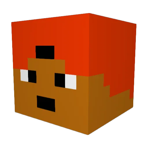 Ur_Indian_Bro Minecraft avatar head, 3D render
